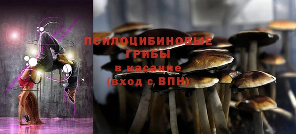 стафф Алексеевка