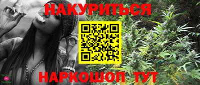 ешки Кингисепп