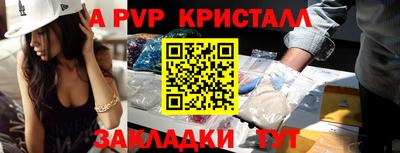 ешки Кингисепп