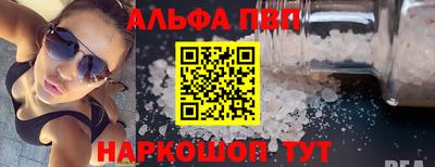 ешки Кингисепп