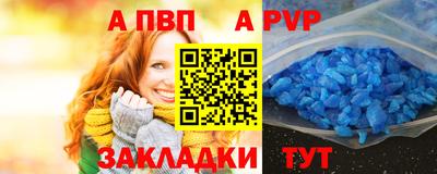 ешки Кингисепп