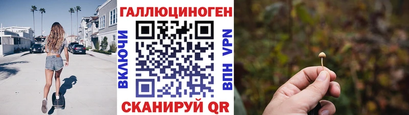 Галлюциногенные грибы мицелий darknet какой сайт Самара hydra зеркало