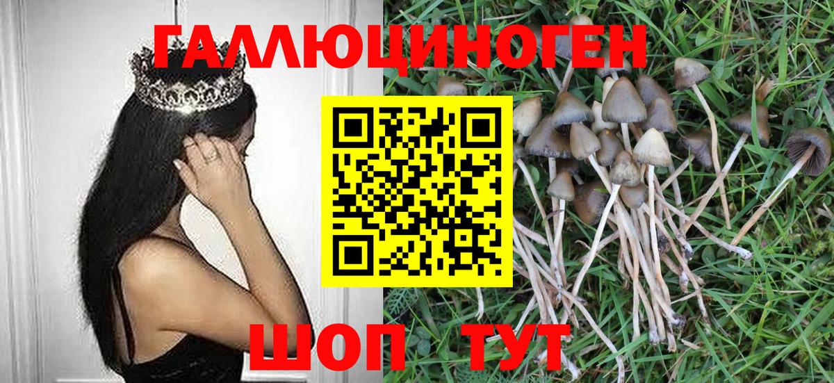 Галлюциногенные грибы мицелий  Псилоцибиновые грибы Cubensis  Самара  Вход с VPN 