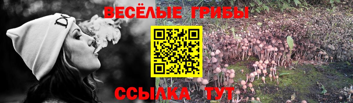 ЭКСТАЗИ Самара