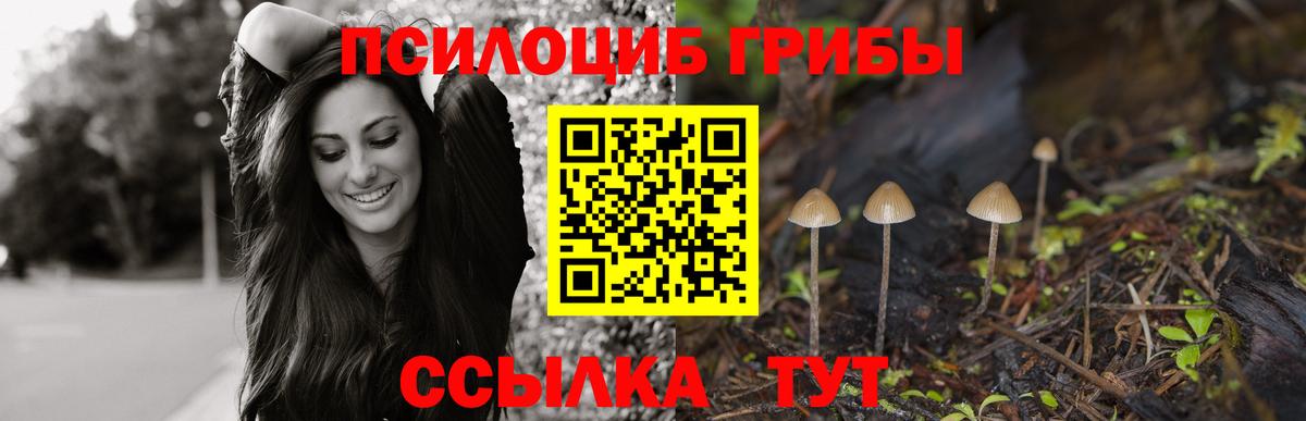 Галлюциногенные грибы мухоморы Самара